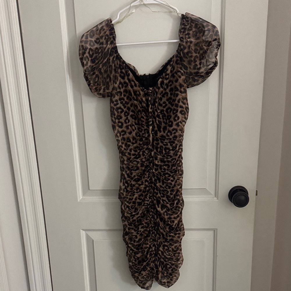 Leopard Print Ruched mini Dress